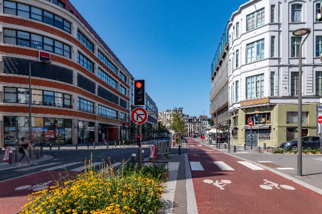 Déambulation écologique dans le centre de Lille  (complet)