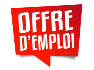 Generali France recherche une spécialiste de l'allocation stratégique, tactique et de l'implémentation de la stratégie d'investissement dans les fonds euros et croissance. 
