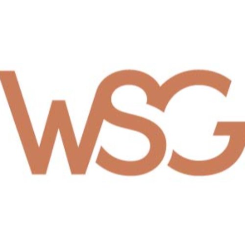 WSG LIMITED