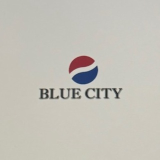 BLUE CITY TEXTILE INT'L