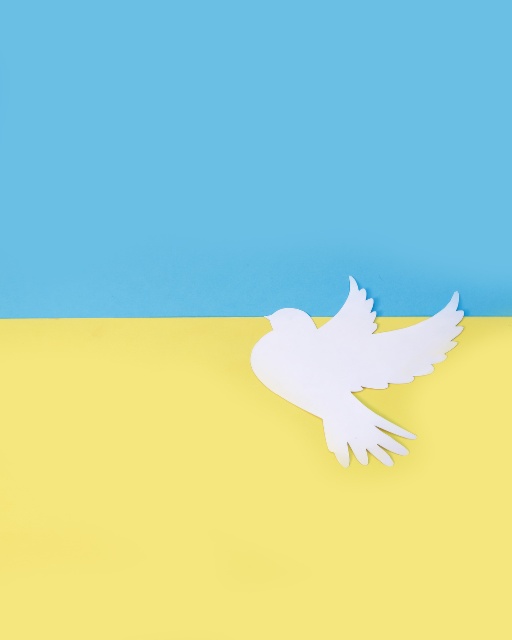 Top 6 des tweets auvergnats – Février 2021