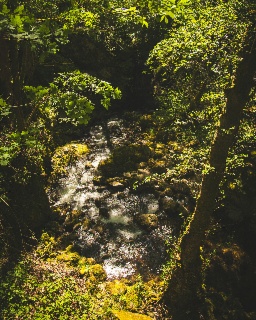 Top 9 des gorges auvergnates en 2026