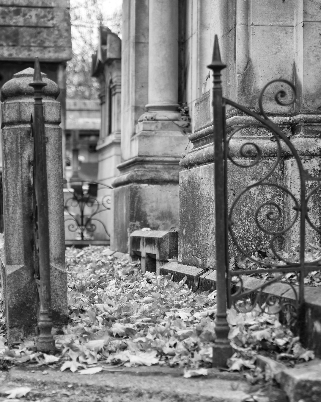 Le cimetière des Carmes rejoint le mouvement du tri sélectif !