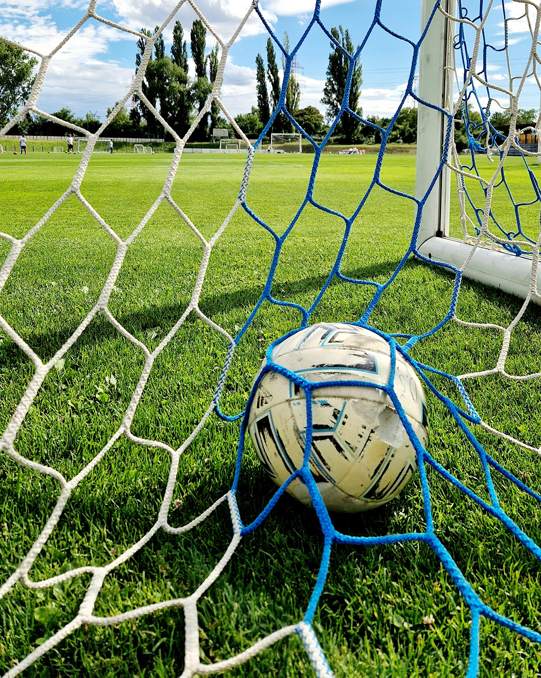 Top 15 des sportifs en lien avec l'Auvergne