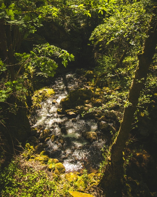 Top 9 des gorges auvergnates en 2026