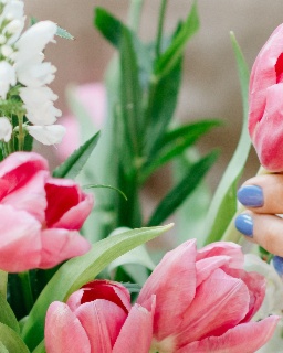 TOP 5 des fleuristes en Auvergne en 2025