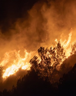 Incendies dans le Cantal : plus de 40 hectares détruits, un pompier hospitalisé en soins intensifs