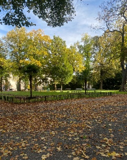 Top 10 des parcs à Clermont en 2026