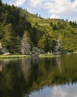Top 12 des lacs en Auvergne en 2026