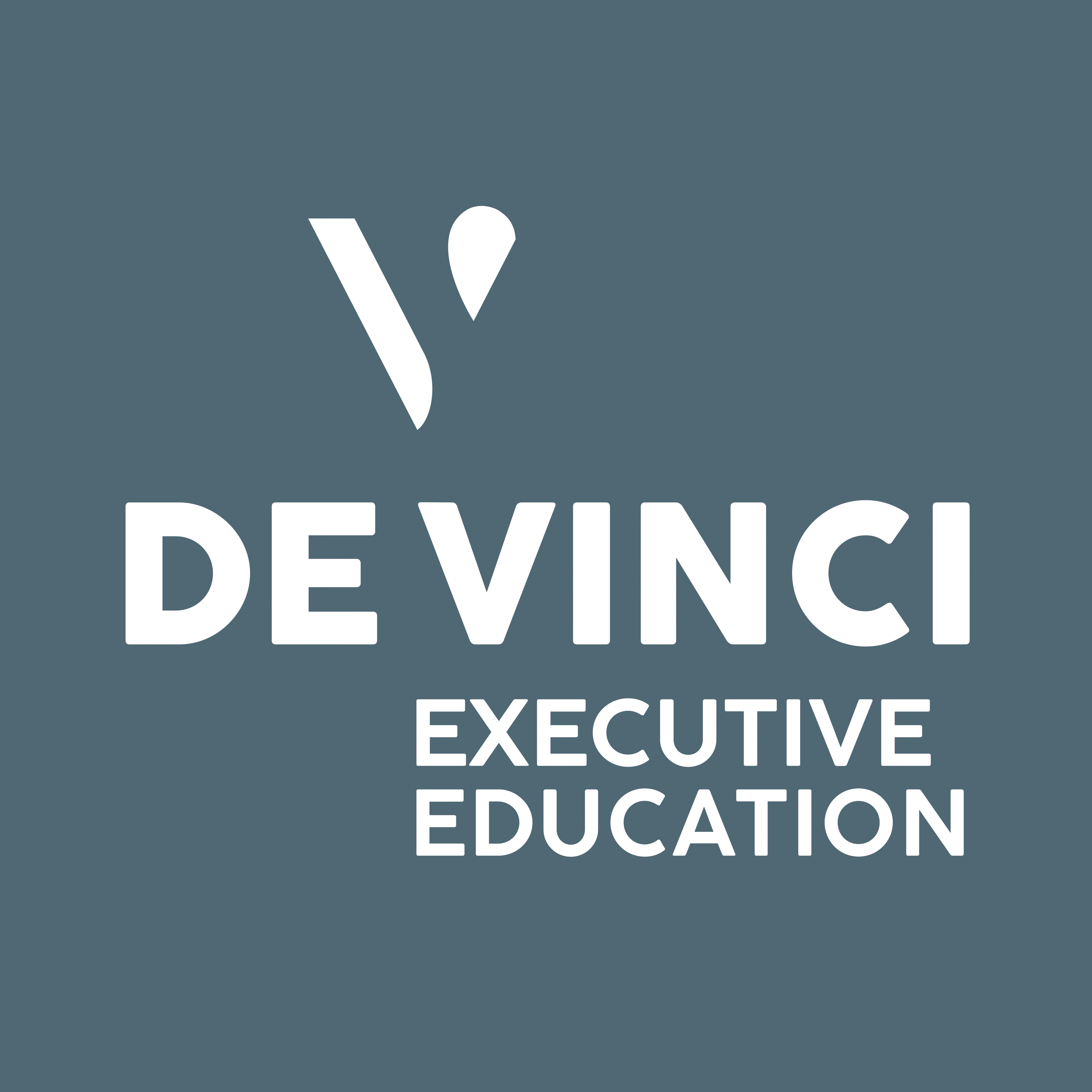 DEVINCI EXECUTIVE EDUCATION