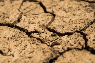 Le changement climatique sur les terrains de sport 