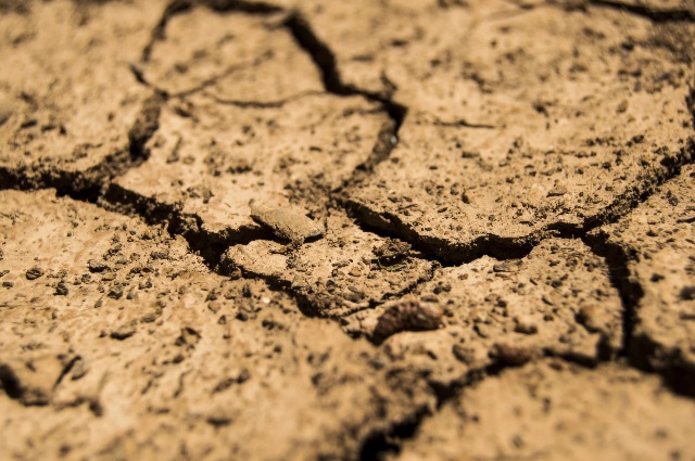 Le changement climatique sur les terrains de sport 