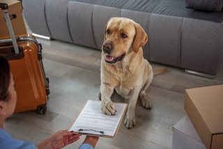 Adopter un animal : Tout comprendre sur le certificat d’engagement et de connaissance