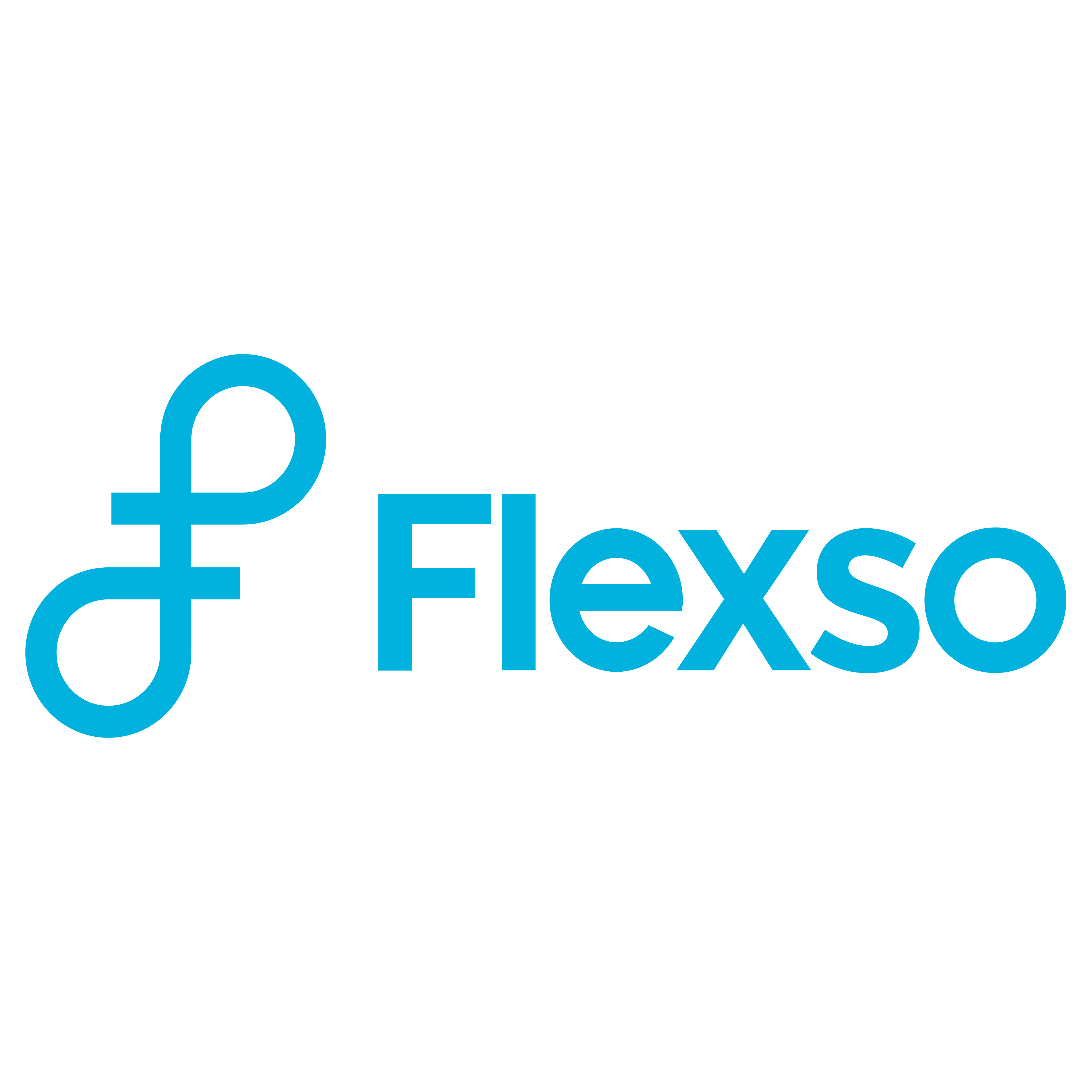 Flexso