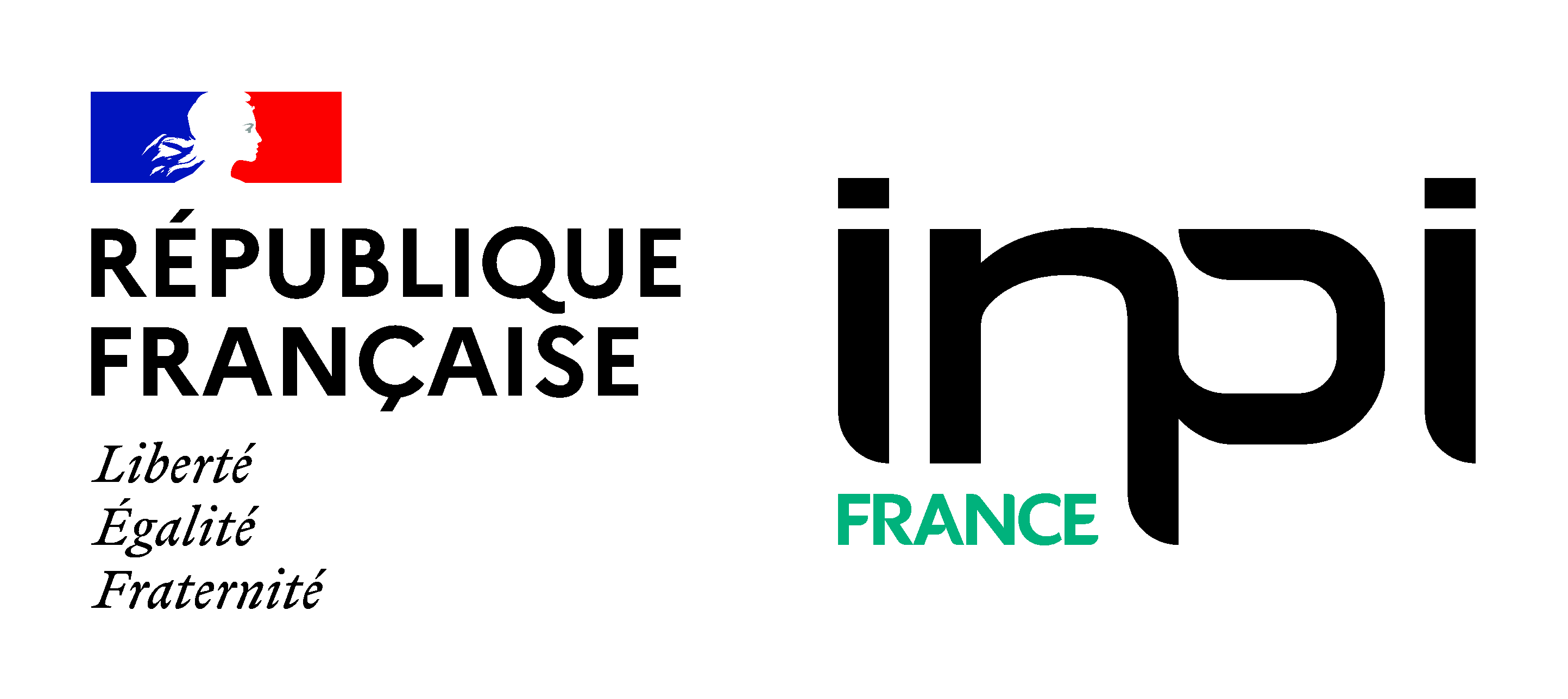  INPI