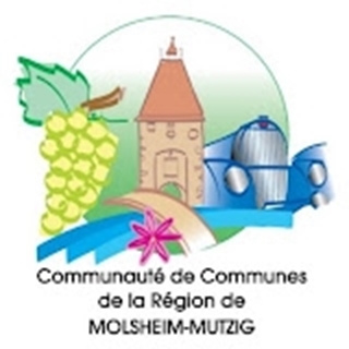 Gestion des réseaux d’éclairage public grâce à Portal for ArcGIS et arcOpole Builder à la Communauté de Communes de la Région de MOLSHEIM-MUTZIG