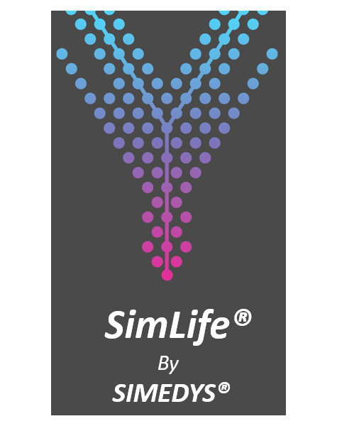 SIMEDYS