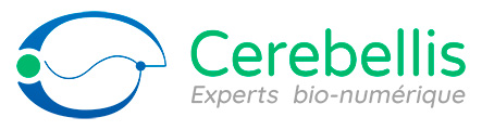 CEREBELLIS