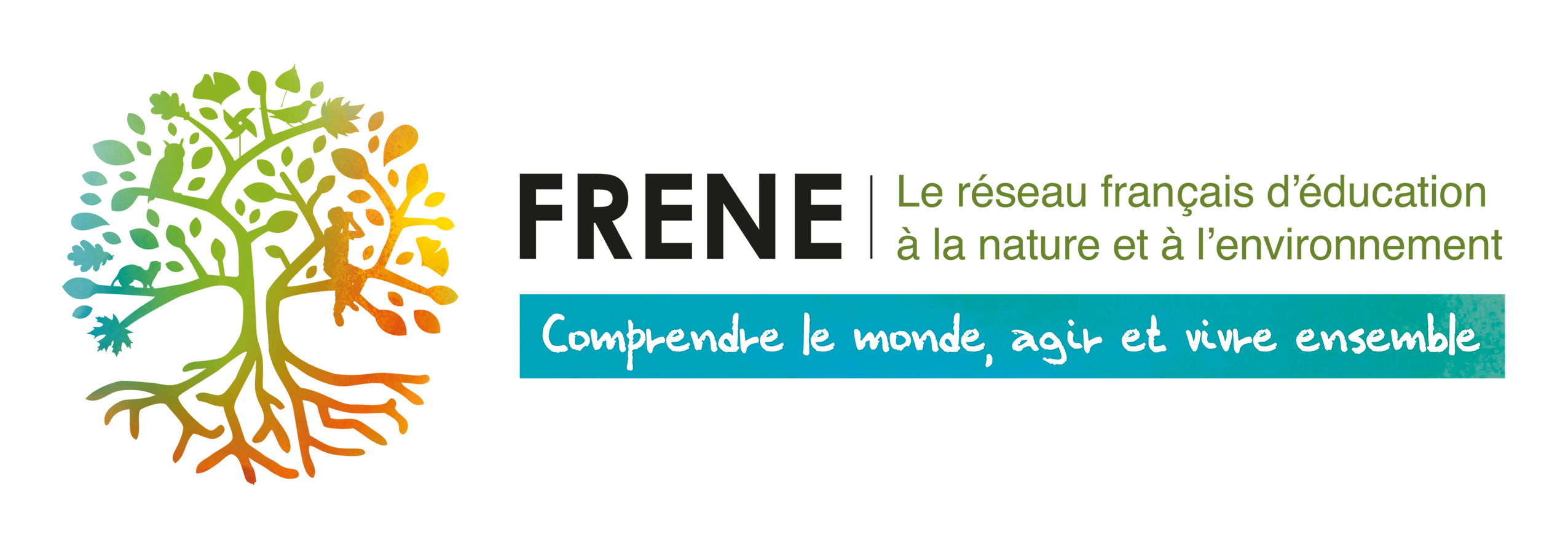 FRENE 