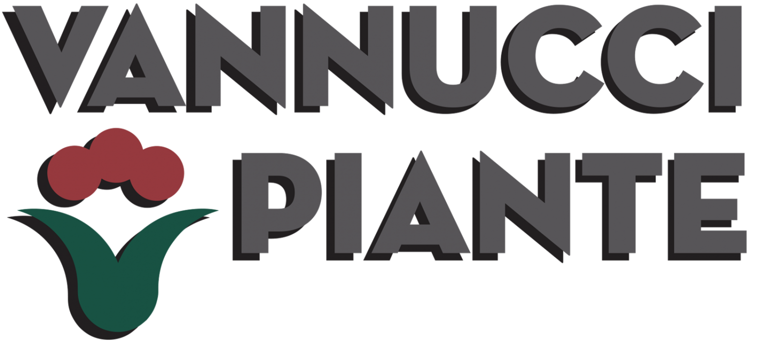 Vannucci Piante 