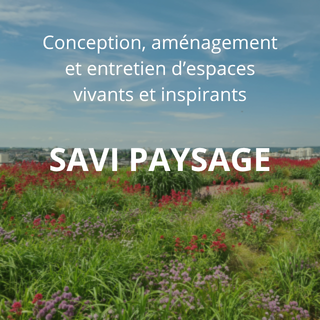 Savi Paysage