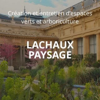 LACHAUX PAYSAGE