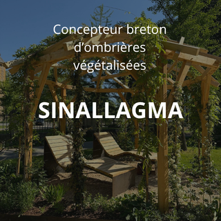 SINALLAGMA