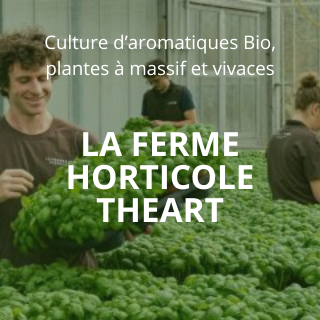 LA FERME HORTICOLE THEART 