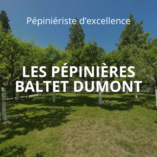 PÉPINIÈRES BALTET-DUMONT
