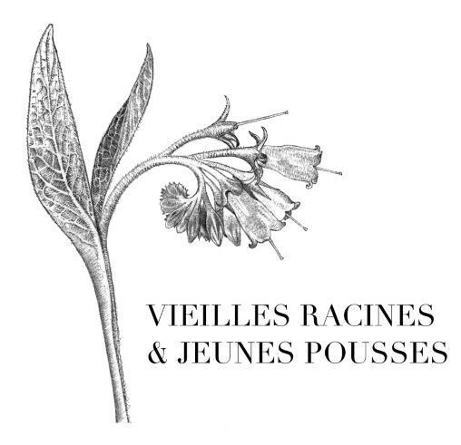 VRJP Vieilles racines et jeunes pousses
