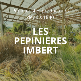 LES PEPINIERES IMBERT