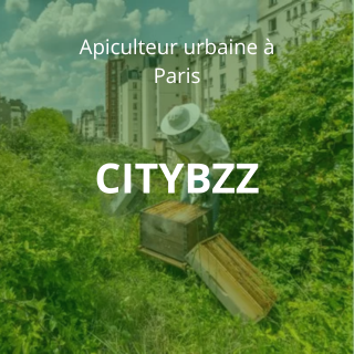 CITYBZZ
