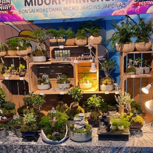 MIDORI MINICHUA