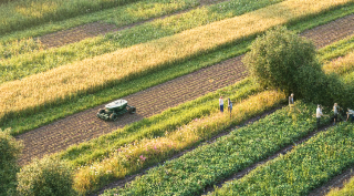 La Robotique Agricole en 2025 - 9/12 15h