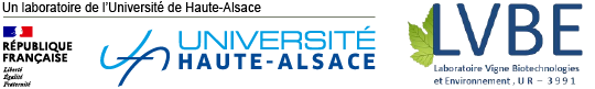 Université de Haute-Alsace