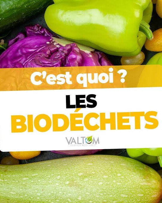 C'EST QUOI LES BIODÉCHETS ?