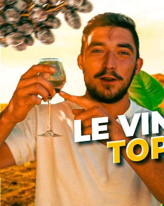 De la Terre à l'Assiette - #1 DU BON VIN D'AUVERGNE