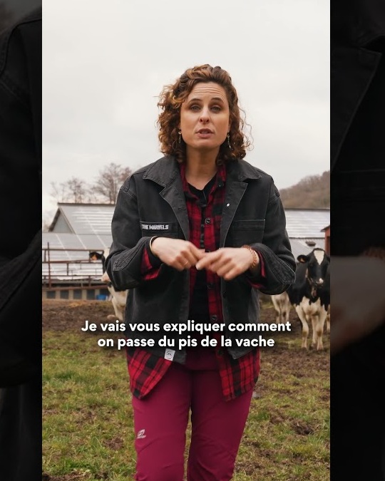 LE YAOURT, DU PIS À LA CUILLÈRE
