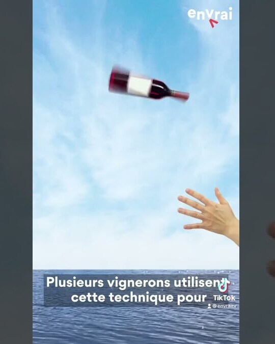 DES FAITS SURPRENANTS SUR L'AUVERGNE #12 | LES VINS DES LACS D'AUVERGNE
