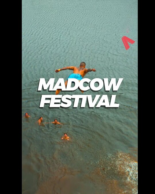 LE MADCOW FESTIVAL