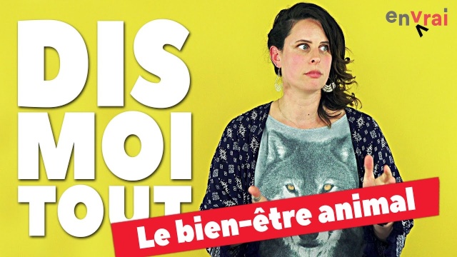 [ DIS MOI TOUT ] sur le bien-être animal en Auvergne