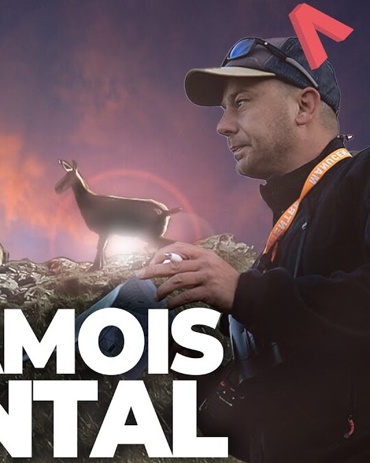 [ LA VRAIE VISITE ] LES CHAMOIS DU CANTAL