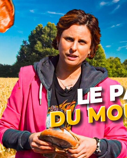 De la Terre à l'assiette #2 : Le pain local, du moulin au four !
