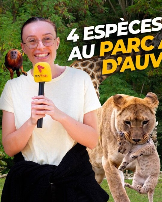 On est allés au Parc Animalier d'Auvergne avec l'équipe d'En Vrai !