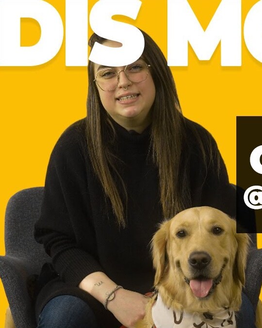 GÂTE TON CHIEN AVEC LES TRÉSORS DE BOOGIE !