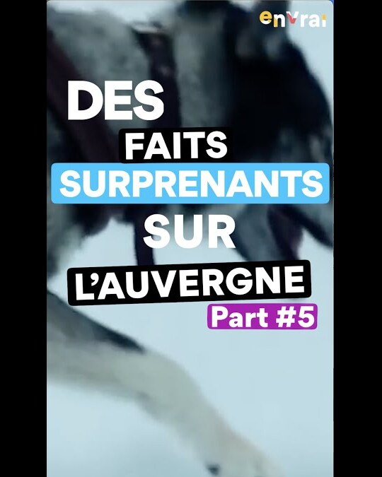 DES FAITS SURPRENANTS SUR L’AUVERGNE #5 | BALADE EN CHIEN DE TRAINEAU EN AUVERGNE