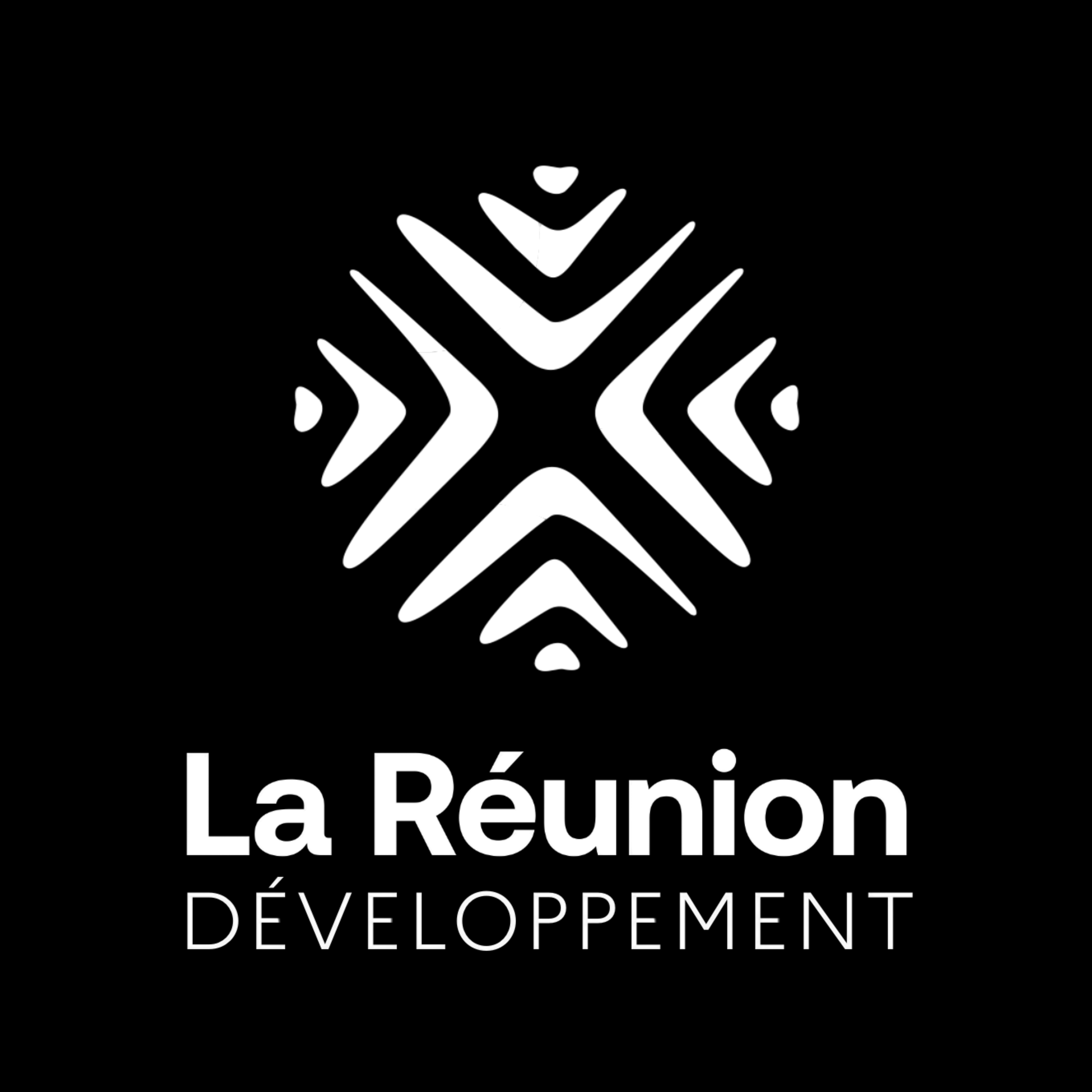 La Réunion Développement