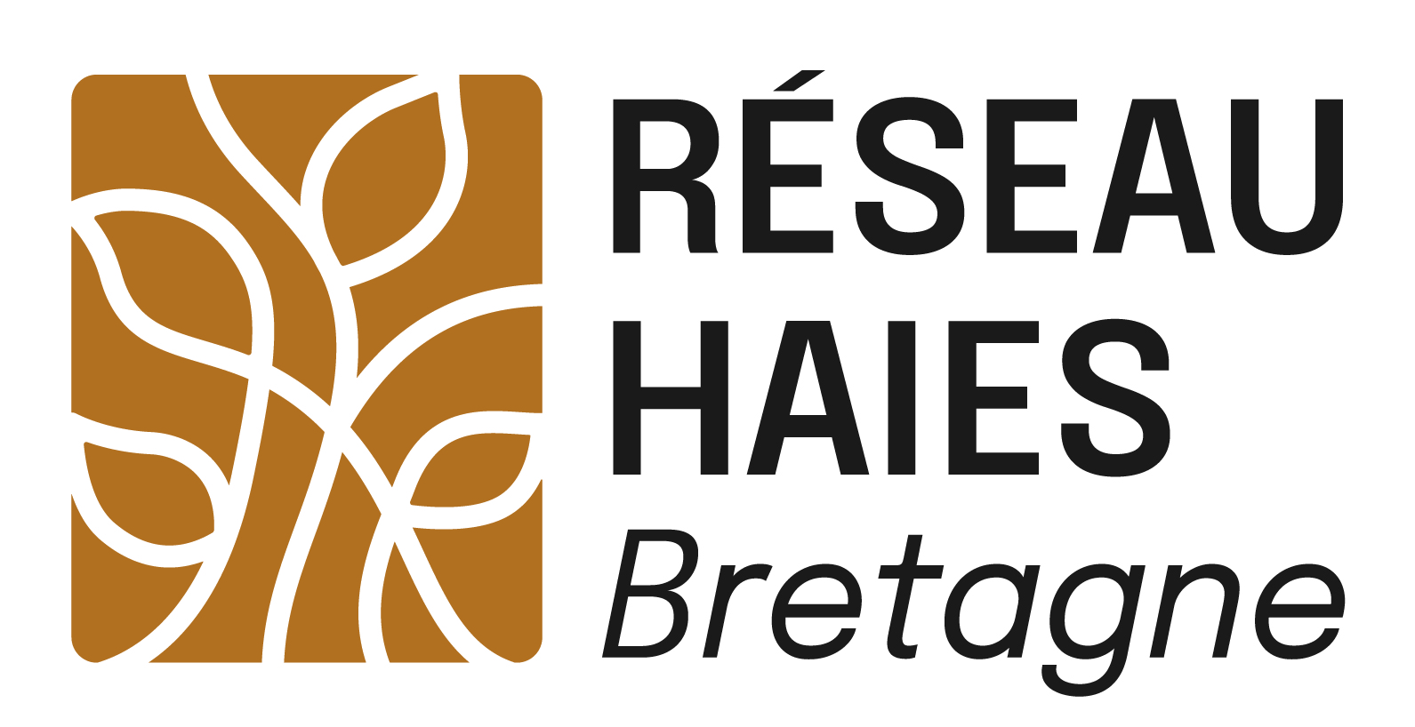 Réseau haies Bretagne