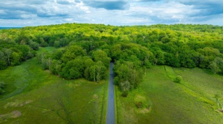 Advancing agriculture, forestry and other land use policies: A stocktake of greenhouse gas mitigation efforts