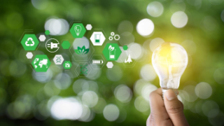 Industrial strategies for the competitive development of renewable energy ecosystems